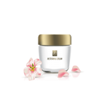 گلدان آپارتمانی دراسنا کامپکت - تصویر 3