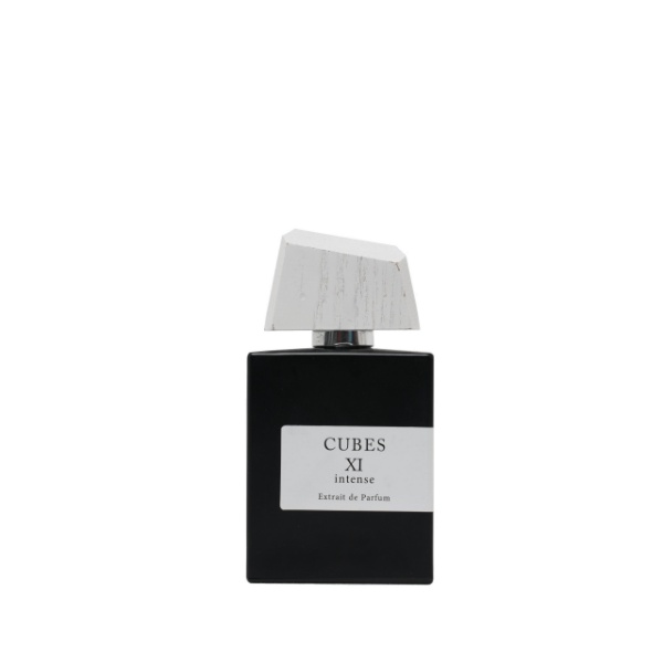 11 ادوپریوم اکسید کیوبز 11 XCEED CUBES XI EXTRAIT DE PERFUME 100ML - Image 1