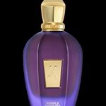 ادوپرفیوم زرجوف وی کالکشن پرپل اچنتو XERJOFF V COLLECTION PURPLE ACCENTO EDP 100ML UNISEX - Image 4