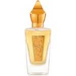 ادوپرفیوم مردانه زرجوف شوتینگ استارز دفر XERJOFF SHOOTING STARS DHOFAR (BOX) EDP 100ML MEN - Image 2